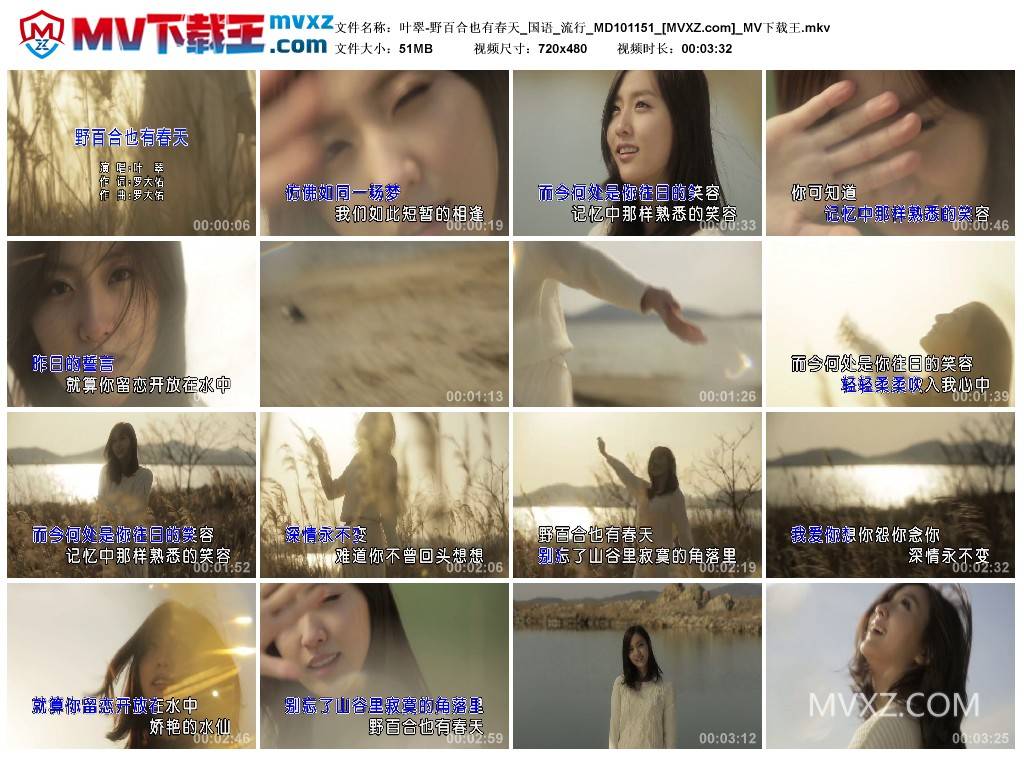叶翠-野百合也有春天_国语_流行_MD101151